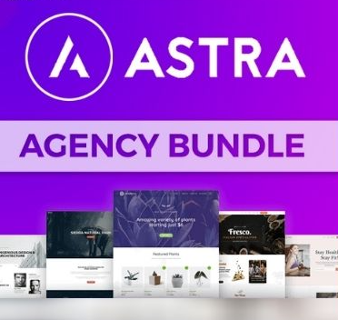 【无限站点永久授权】Astra Agency(Growth) Bundle 正版激活码